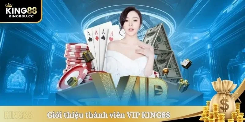 Giới thiệu thành viên VIP KING88