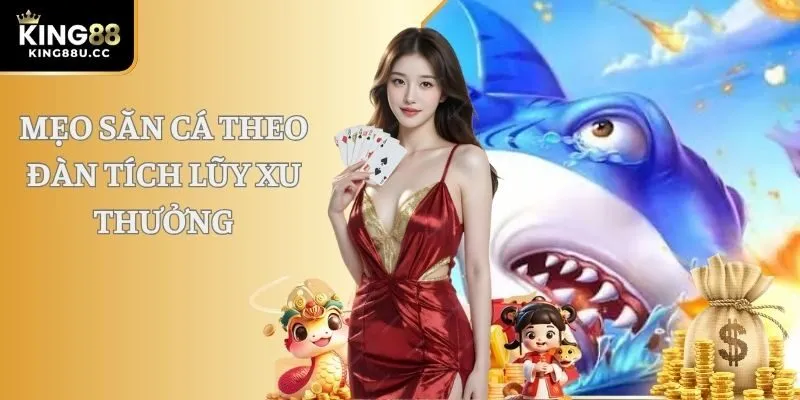 Mẹo săn cá theo đàn tích lũy xu thưởng